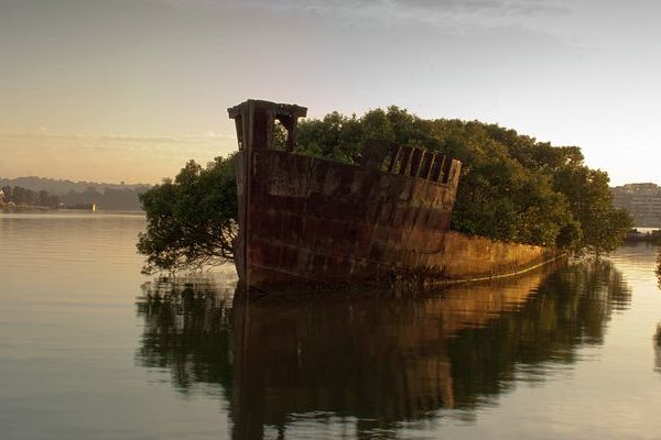 The SS Ayerfield