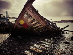 The boat cemetery.