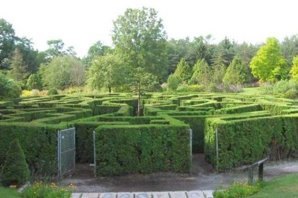 Maze