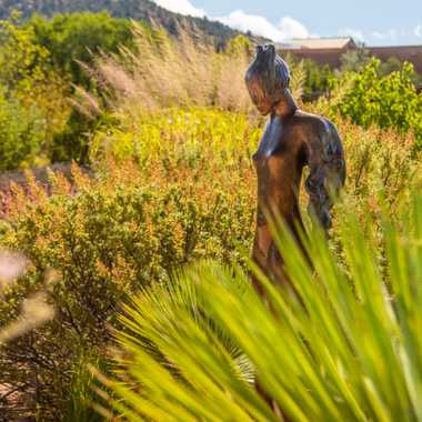 Santa Fe Botanical Garden at Museum Hill